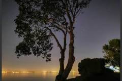 Hyades and a tree on the San Francisco Bay, Anza area.