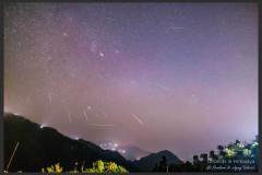 Orionids in the Himalayas