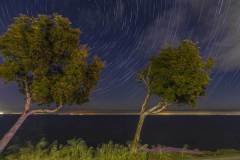 2021-05-15-Double-Angled-Trees